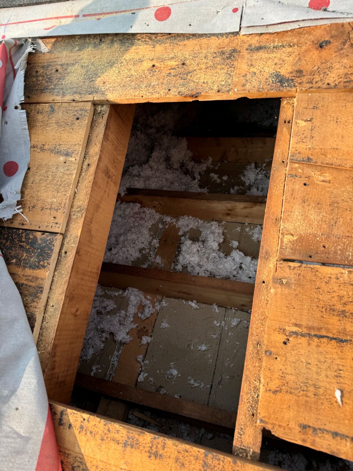 New skylight opening framed through an attic