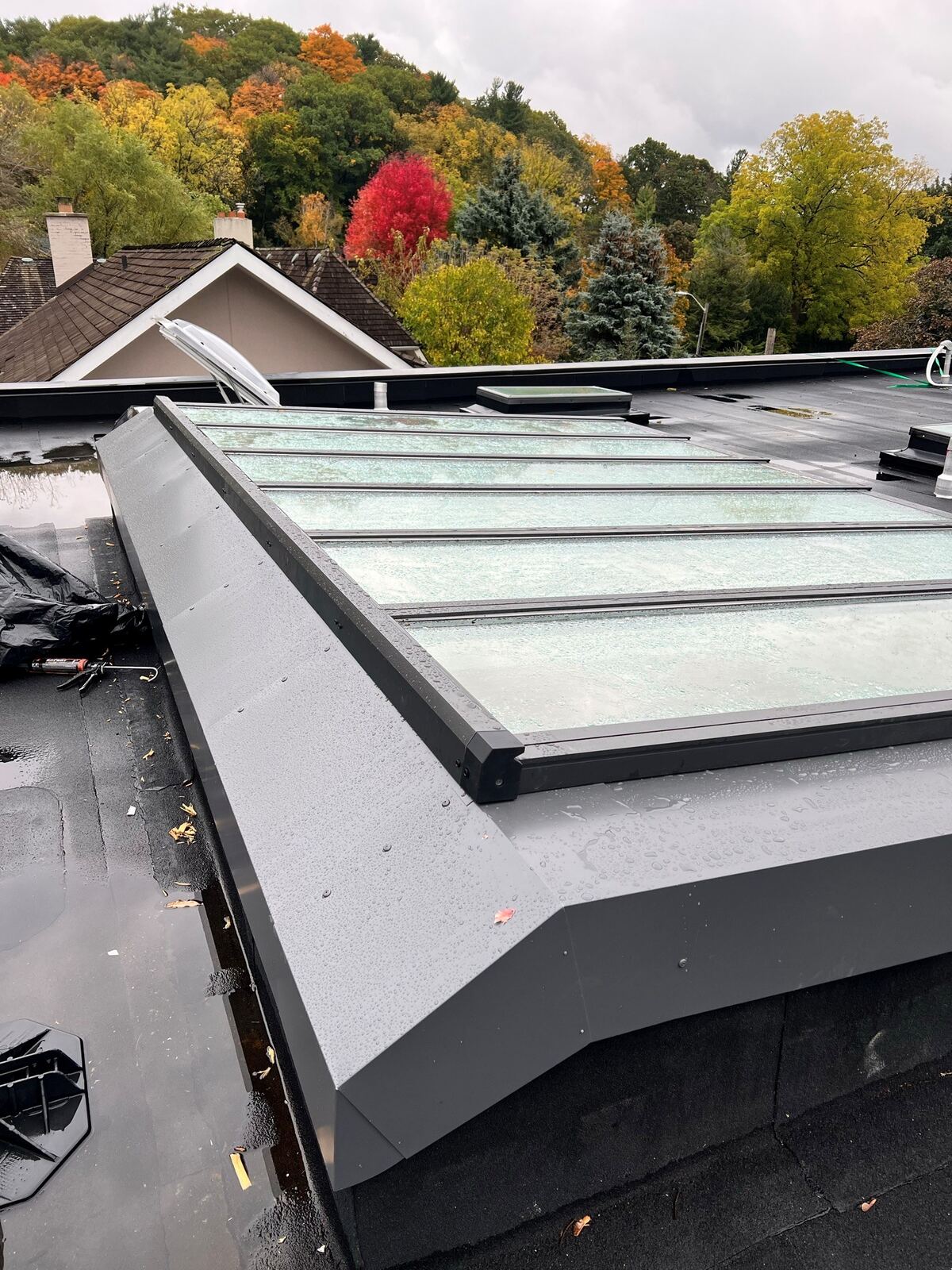Skylight on a low-slope roof surrounded by autumn trees